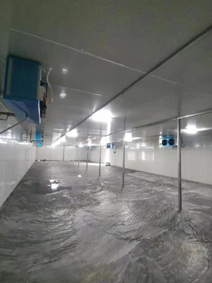 微信图片_201907190927506